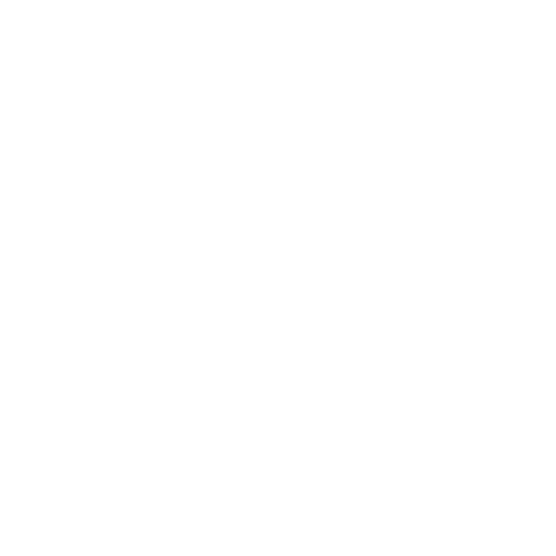 sabor de la birria
